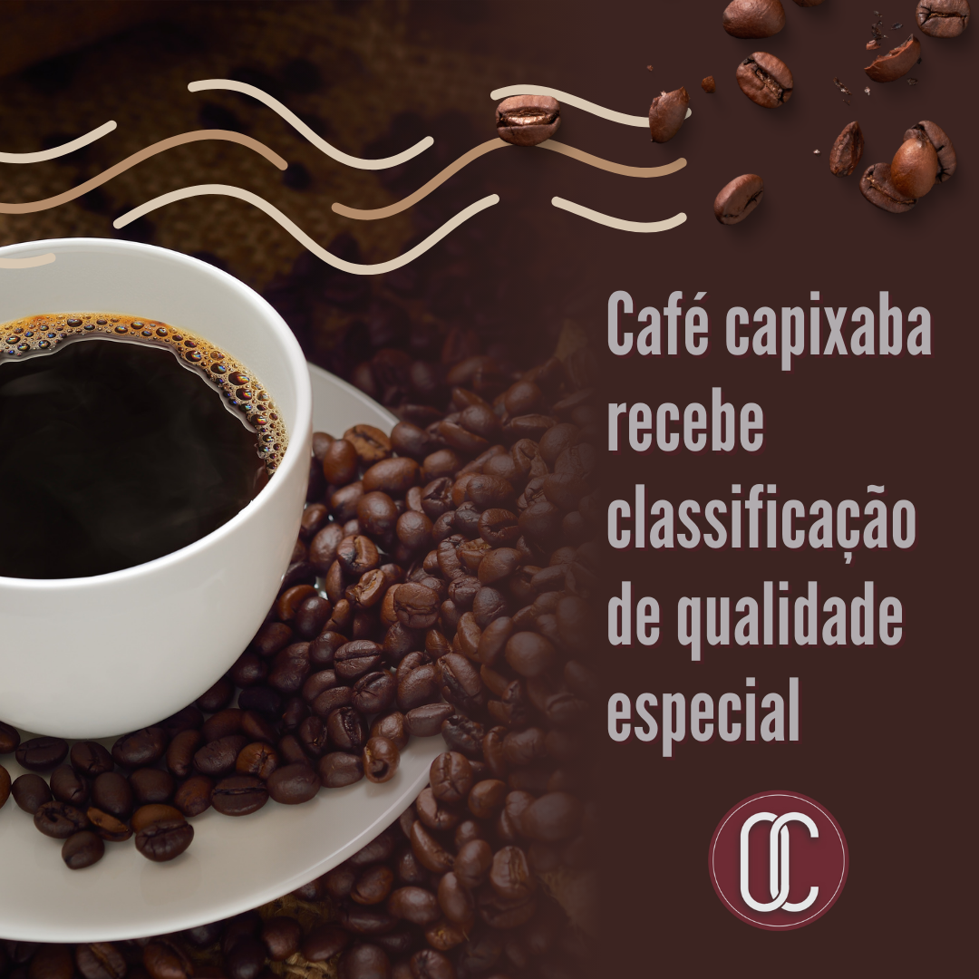 café capixaba recebe classificação de qualidade especial